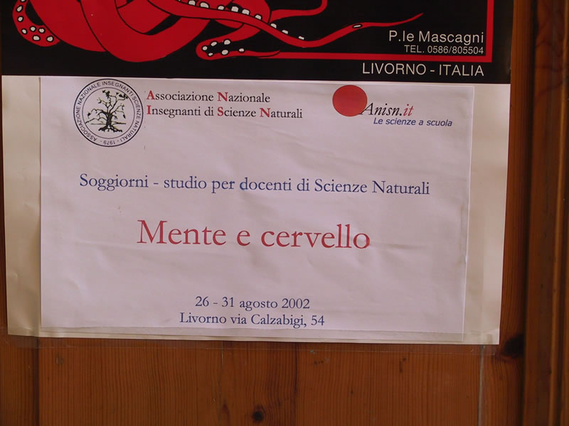 Clicca qui per tornare all'indice delle foto